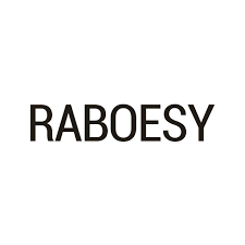 RABOESY screenshot